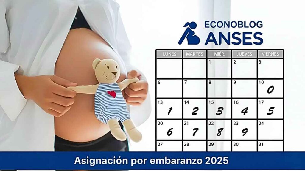 Asignación por embarazo 2025: monto actualizado, cómo solicitarla y cuándo se paga