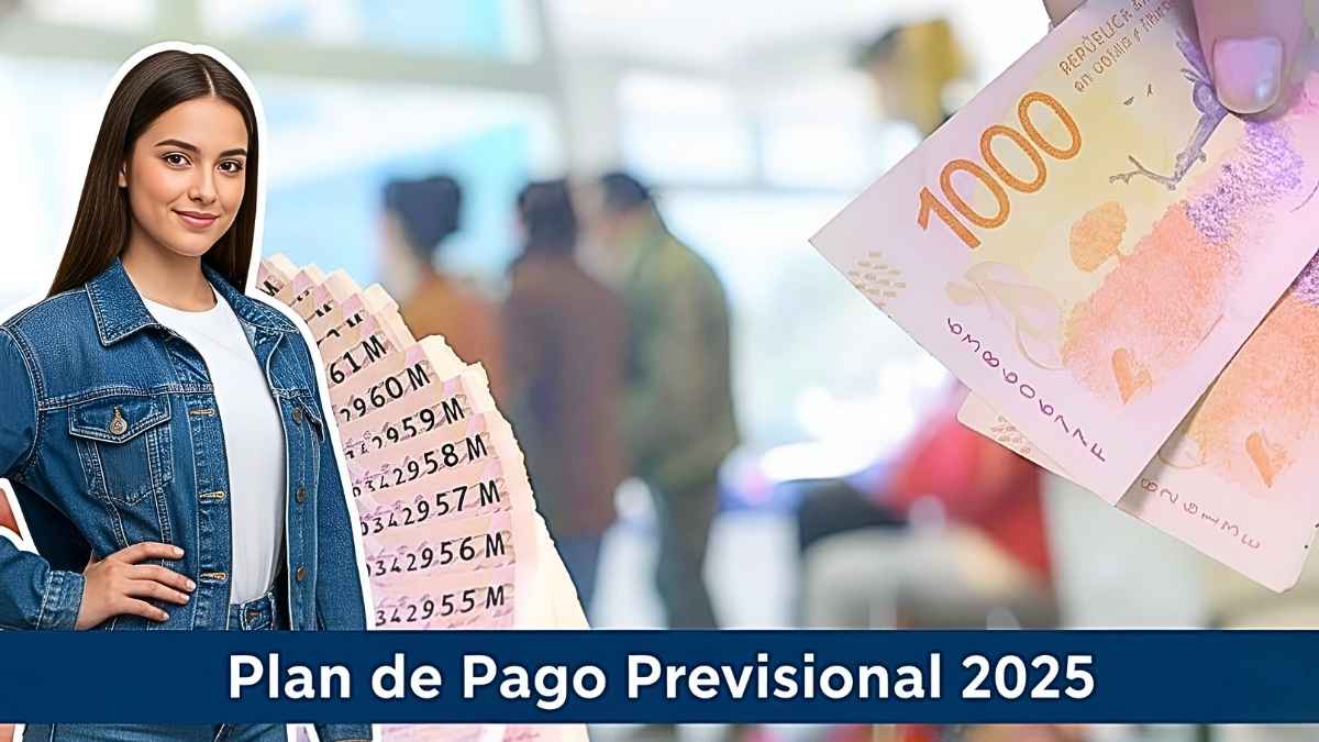 Plan de Pago Previsional 2025: cómo acceder, montos mensuales y fechas clave de diciembre
