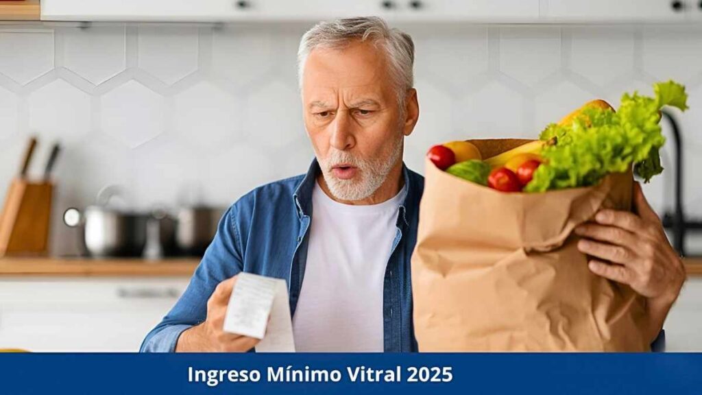Ingreso Mínimo Vital 2025: hasta €600 mensuales, cómo solicitarlo y cuándo se cobra en diciembre