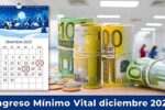 Ingreso Mínimo Vital diciembre 2025: cuánto se cobra, quién lo recibe y cómo solicitarlo online