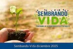 Sembrando Vida diciembre 2025: productores reciben $6,000, pasos de inscripción y calendario oficial