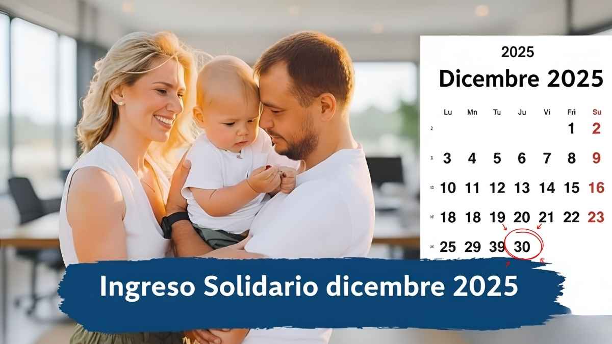 Ingreso Solidario diciembre: pagos de hasta $160.000, cómo aplicar y cuándo se acredita
