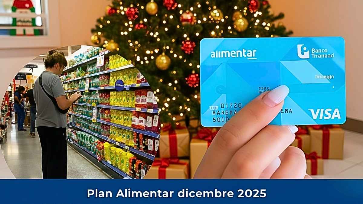 Plan Alimentar diciembre 2025: tarjeta con $32.000, quién la recibe y cómo solicitarla