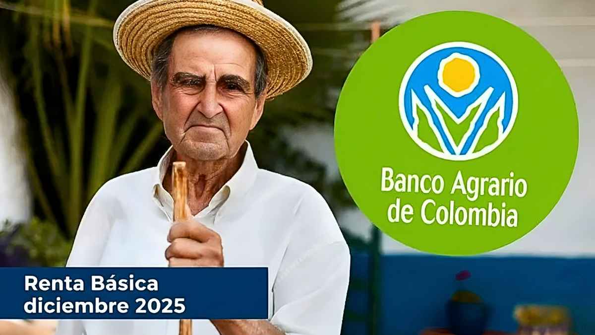 Renta Básica diciembre 2025: pagos de $400.000, inscripción y cronograma oficial