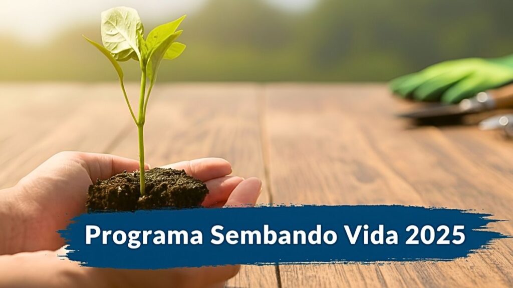Programa Sembrando Vida 2025: cuánto reciben los beneficiarios, quién aplica y cuándo se paga