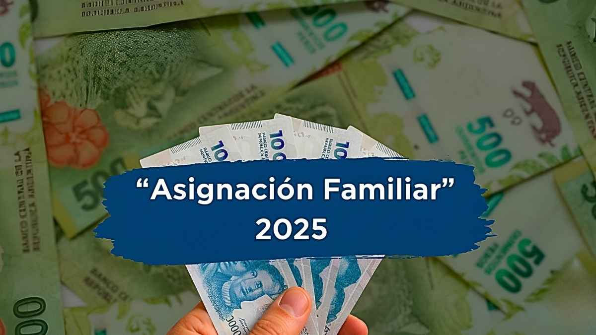 Asignación Familiar 2025: cuánto se cobra por hijo y cuándo se acredita