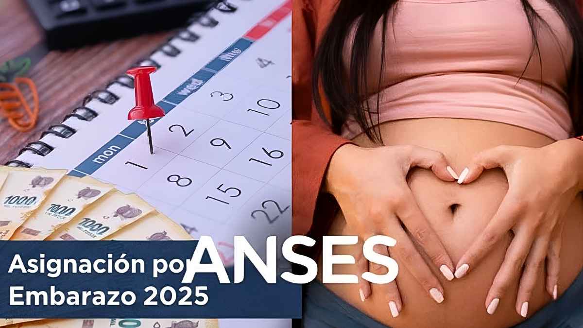 Asignación por Embarazo 2025: Cuánto se Cobra, Quiénes Califican y Calendario de ANSES