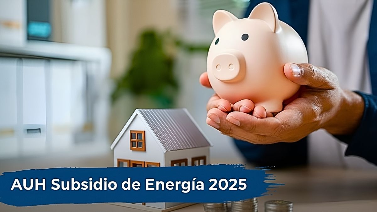 AUH Subsidio de Energía 2025: ahorro mensual de hasta $20,000, pasos para solicitarlo
