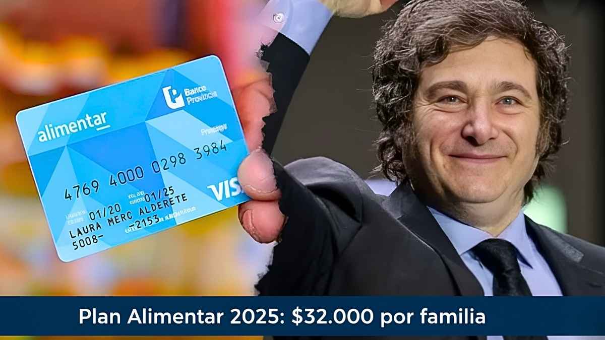 Plan Alimentar 2025: $32.000 por familia, requisitos y fechas de cobro en diciembre